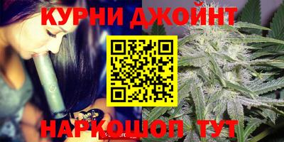 сатива Краснознаменск