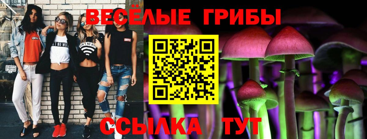 Галлюциногенные грибы GOLDEN TEACHER  Вход с VPN  Псилоцибиновые грибы Cubensis  Кировск 